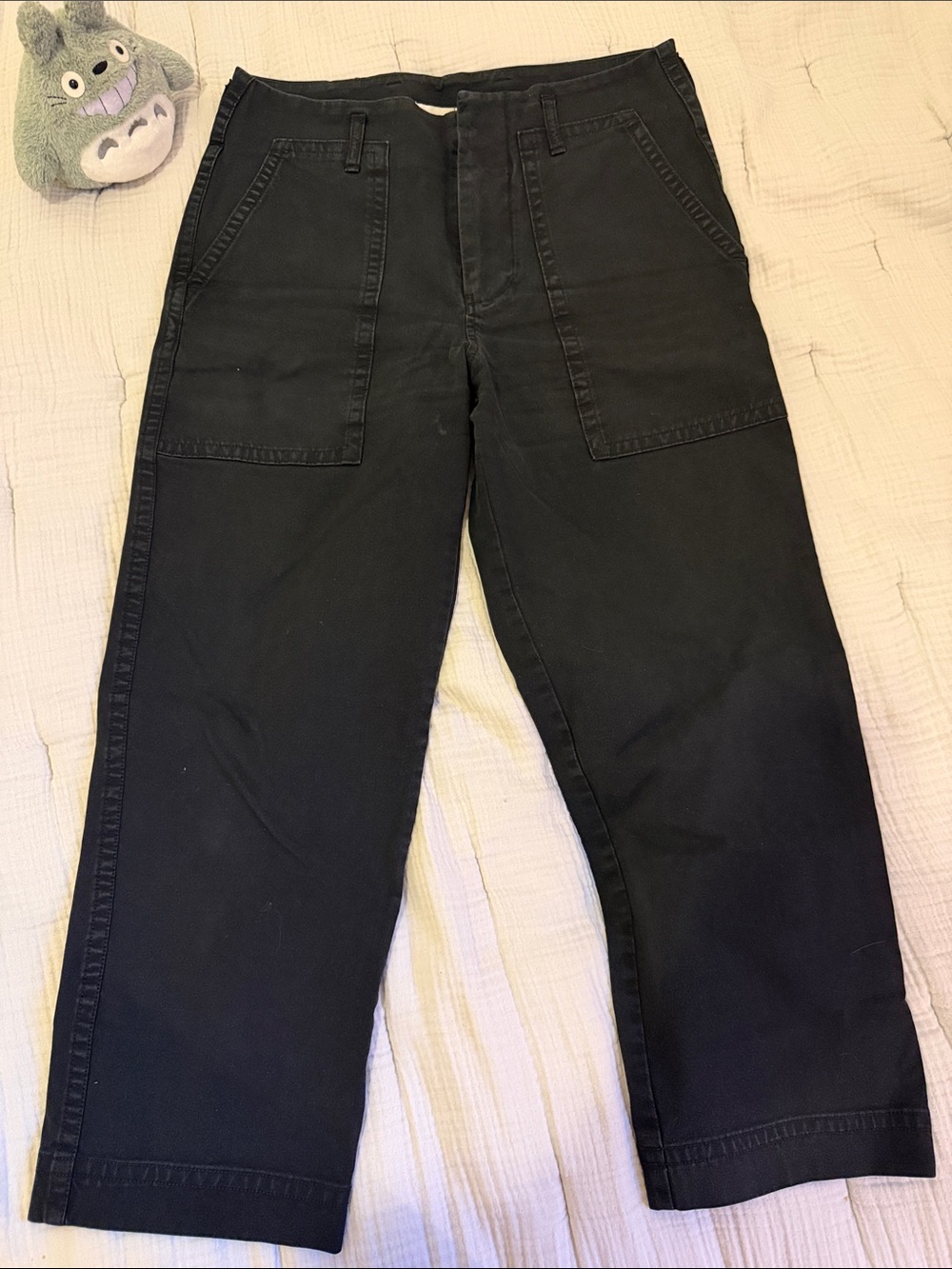 Everlane Black Cropped Utility Pants